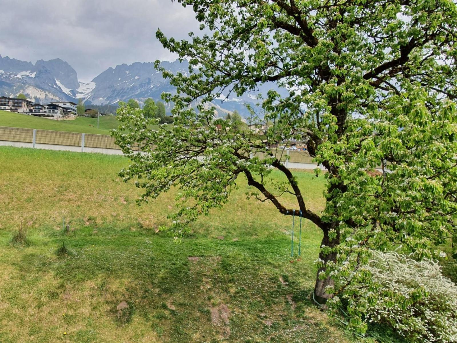 Apartamento Haus Strobler Going am Wilden Kaiser Habitación foto